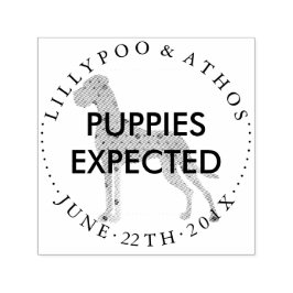 Carimbo Auto Entintado Puppy expectativa anunciando selos Great Dane