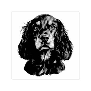 Carimbo Auto Entintado Springer Spaniel Cão Animal Arte