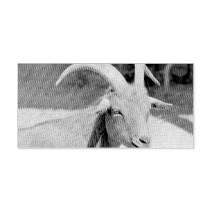 Carimbo Auto Entintado Sr. Bill