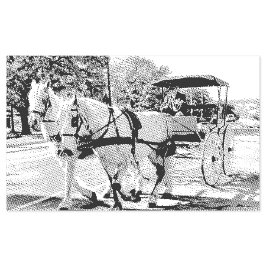 Carimbo Auto Entintado Timeless Journey