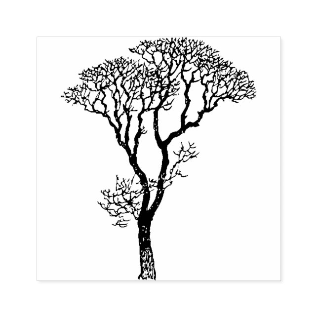 Carimbo de Árvore Africano 4 Passaporte Safari Emb (Impressão)