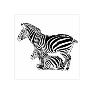 Carimbo De Borracha A lápis bonito desenho da zebra e do potro