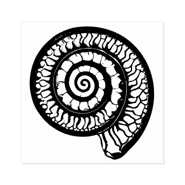Carimbo De Borracha Ammonite Fóssil - Selo Espiral (Impressão)