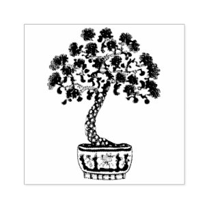 Carimbo De Borracha Árvore Bonsai em uma plantação chinesa de porcelan