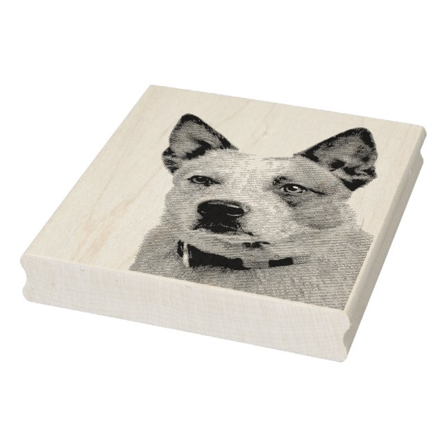 Carimbo De Borracha Australian Cattle Dog Gummistempel (Carimbo)