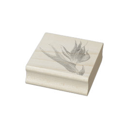 Carimbo De Borracha Ave Tropical De Cores Aquáticas Do Paraíso