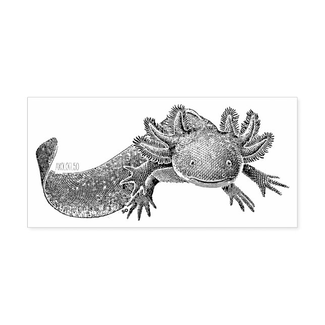 Carimbo de Borracha Axolotl (Impressão)