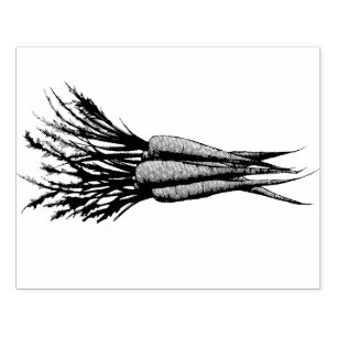 Carimbo De Borracha Bando de Carrots Orange Vegetable Veggie Garden