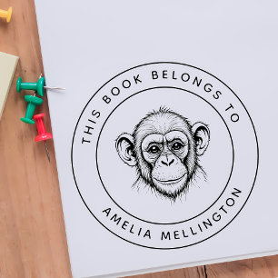Carimbo De Borracha Bebê Personalizado Este Livro Pertence Ao Nome Da