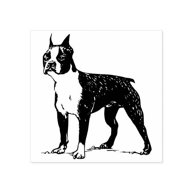 Carimbo De Borracha Boston terrier (Impressão)