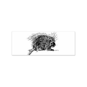 Carimbo De Borracha Brilhante e giro Thunder_Cove Hedgehog