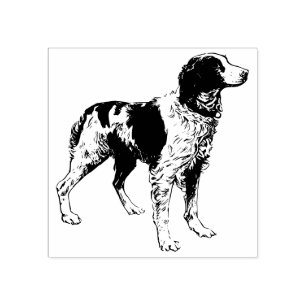 Carimbo De Borracha Brittany Spaniel