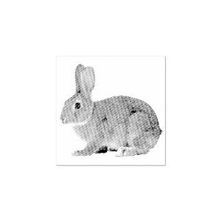 Carimbo De Borracha Bunny Rabbit