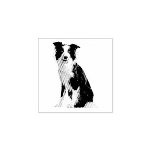 Carimbo De Borracha Cachorro Filhote Border Collie