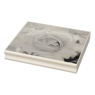 Carimbo De Borracha Caminho de gato