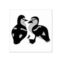 Cartoon Adorável Twin Baby Duckling Huddling