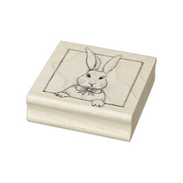 Carimbo De Borracha Coelho da Páscoa Coelho Fofo Scrapbooking Diário