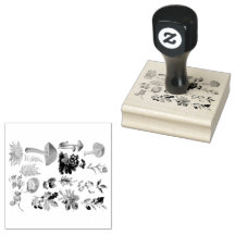 Cogumelos Botânicos e Vintage