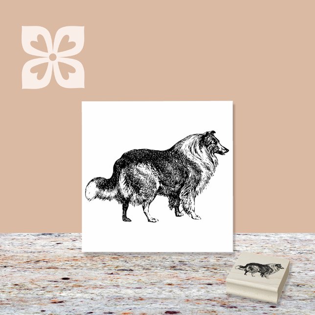 Carimbo De Borracha Collie Dog Breed (Criador carregado)