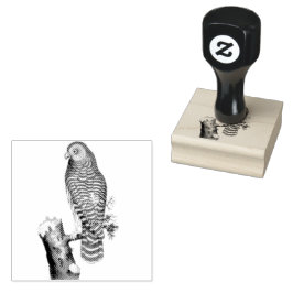 Carimbo De Borracha Coruja Nublada na Ilustração de Vintagem de Ramifi