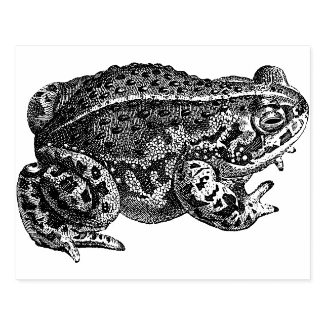 Carimbo de borracha de Sapo grande (Impressão)