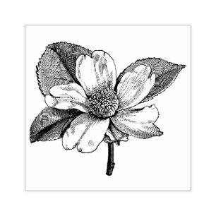 CARIMBO DE BORRACHA DE WQ: Flor do Dogwood do