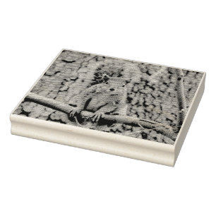 Carimbo De Borracha Escada de raposa