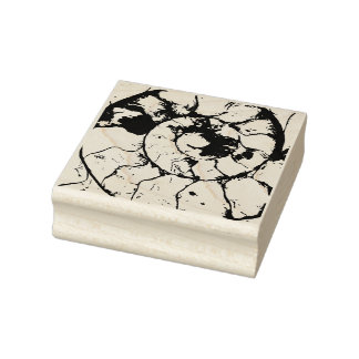 Carimbo De Borracha Espiral fóssil de Ammonite de Devonshire