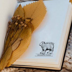 Carimbo De Borracha Ex Libris de Capivara Fofa para Livro 