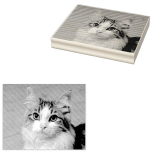 Carimbo De Borracha Faça Sua Própria Foto Personalizada Pet Cat Dog An