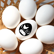 Farmhouse Ovo Cartonagem Galinha Fazenda Ovos de Ó