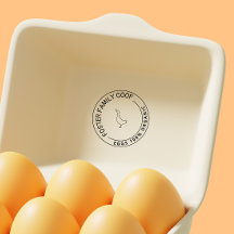 Farmhouse Style Pato Cartonagem de ovo Cartonagem