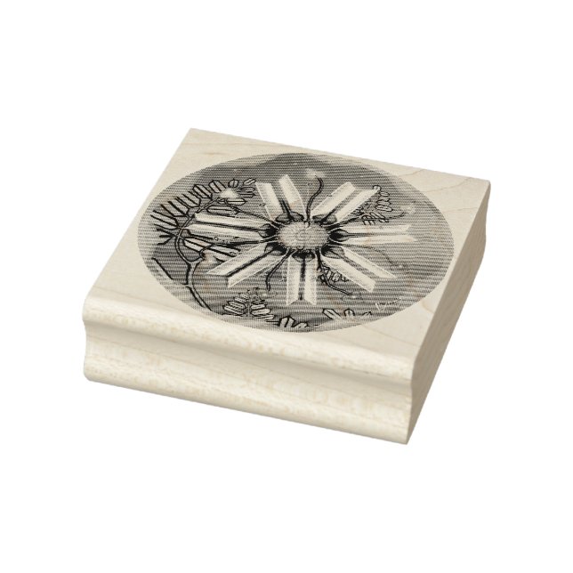 Carimbo De Borracha flor no deserto (Carimbo)