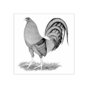 Carimbo De Borracha Galo Vermelho Azul Gamecock