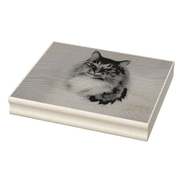 Carimbo De Borracha Gato (Carimbo)