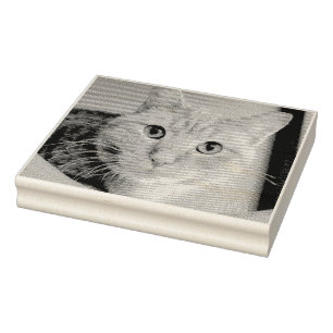Carimbo De Borracha Gato