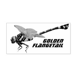 Carimbo De Borracha Golden Flangetail