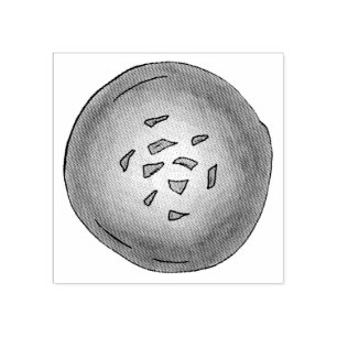 Carimbo De Borracha Homemade Malpua Indian Pancake Mithai Sweets