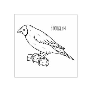 Carimbo De Borracha Ilustração de desenho animado de ave-finch-gouldia