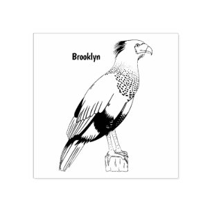 Carimbo De Borracha Imagem de desenho animado de aves de caracara enca