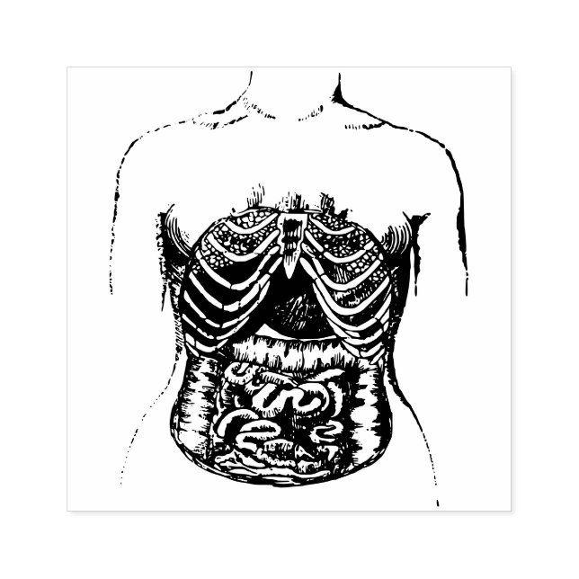 Carimbo De Borracha intestinos internos (Impressão)