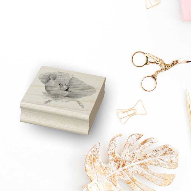 Carimbo De Borracha Laranja de Aquarela (Criador carregado)