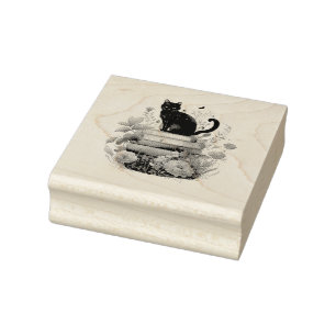 Carimbo De Borracha Livros bonitos e um gato