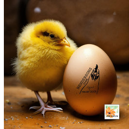 Carimbo De Borracha MODERNO nome simples da fazenda do país de galinha