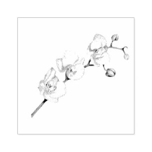 Carimbo De Borracha Orquídea Branca Sonho Feminino Elegante