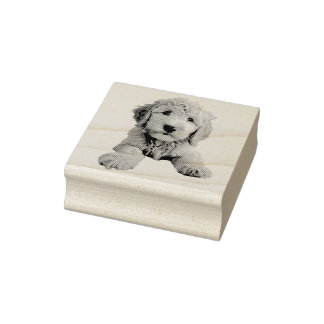Carimbo De Borracha Ouro Doodle Puppy