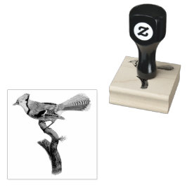 Carimbo De Borracha Pássaro BlueJay em uma Ilustração de Vintagem de R