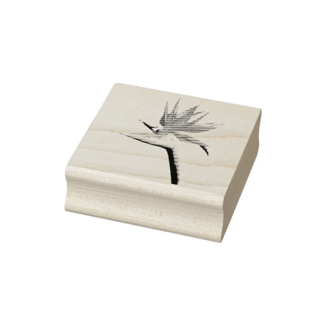 Carimbo De Borracha Pássaro da Flor Tropical Laranja do Paraíso (Carimbo)