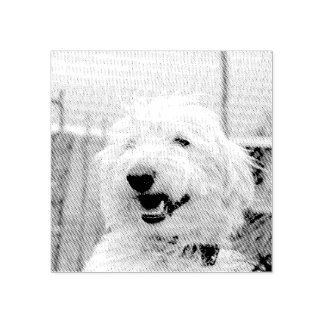 Carimbo De Borracha Personalized Custom Pet Photo Etched Style