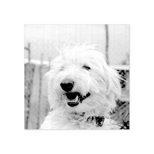 Carimbo De Borracha Personalized Custom Pet Photo Etched Style (Impressão)